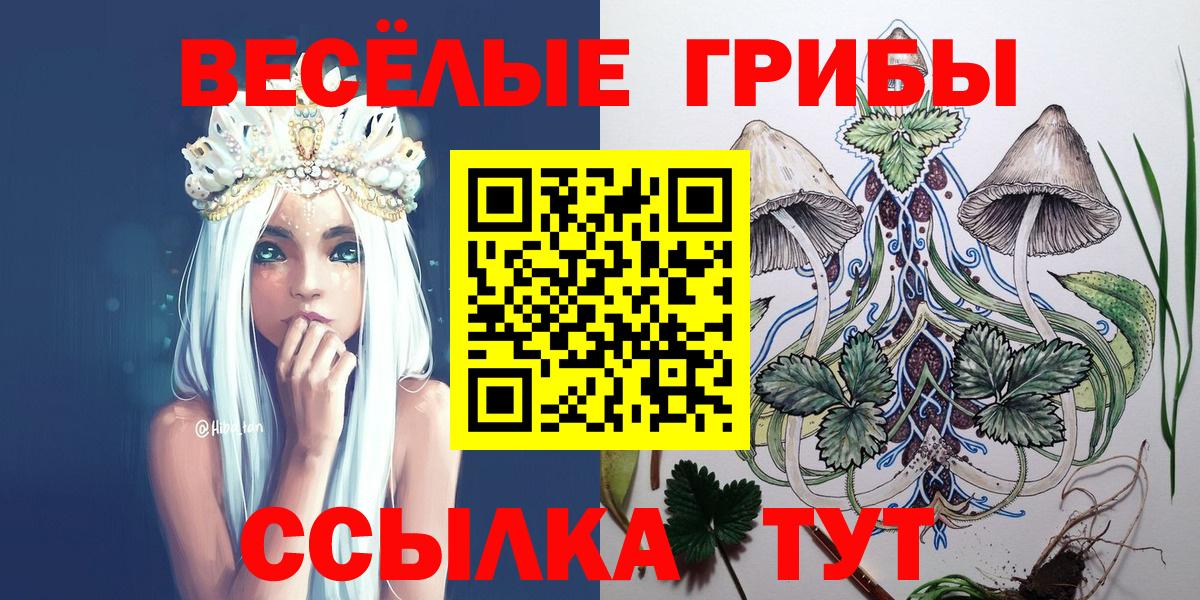 Псилоцибиновые грибы MAGIC MUSHROOMS  Вход с VPN  Берёзовский 