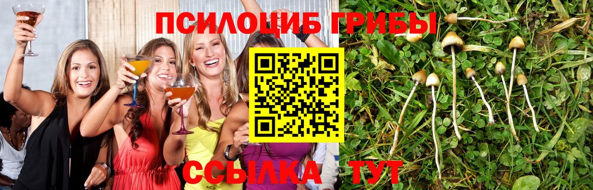 Галлюциногенные грибы ЛСД  Берёзовский 